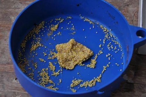 黑坑赌塘钓草鱼经典饵料配方_WWW.YUJUCEPING.COM