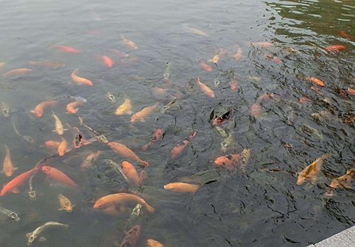 防止鱼被钓滑的技巧_WWW.YUJUCEPING.COM