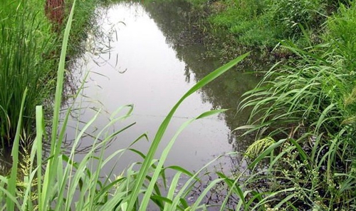 草洞钓鲫鱼怎么选钓点_WWW.YUJUCEPING.COM