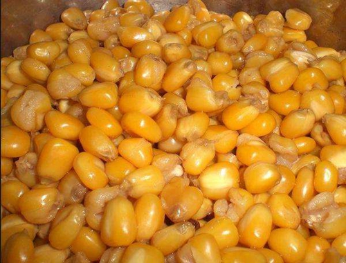 钓草鱼的各种饵料配方_WWW.YUJUCEPING.COM