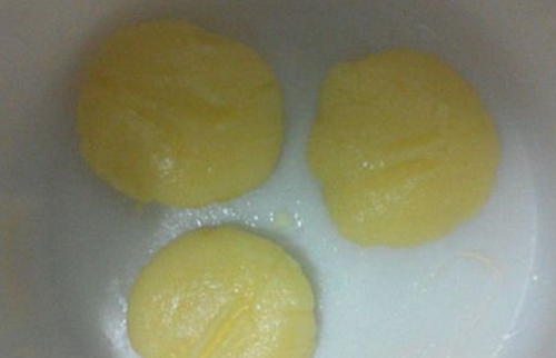 白糖玉米饼野钓鲤鱼的饵料配方_WWW.YUJUCEPING.COM