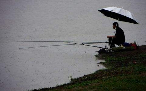 夏天雨天怎么选择钓位_WWW.YUJUCEPING.COM