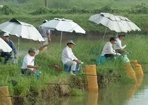 悬坠钓和台钓的区别_WWW.YUJUCEPING.COM