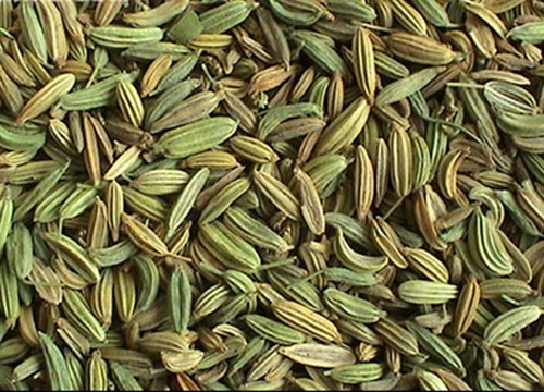 自制茴香型钓鱼小药配方_WWW.YUJUCEPING.COM