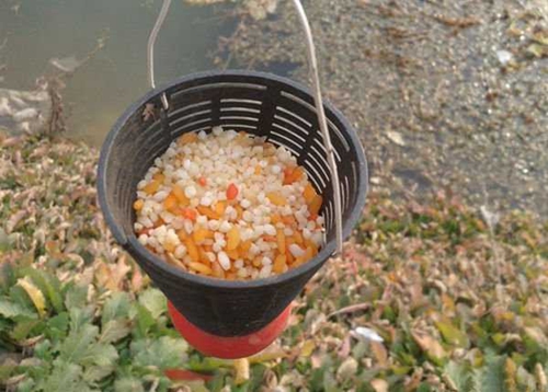 夏天筏钓翘嘴的实用小技巧_WWW.YUJUCEPING.COM