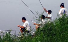 水库钓鱼的注意事项