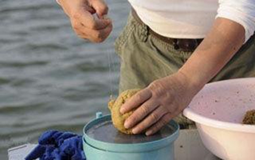 拉饵怎么控制饵料的状态_WWW.YUJUCEPING.COM