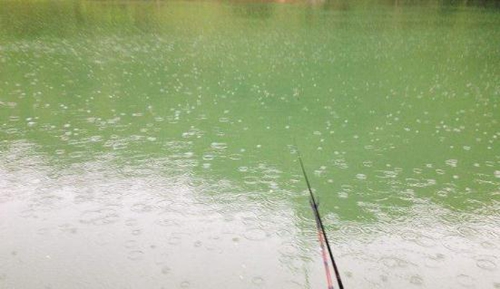 在雨天应该怎么钓鱼_WWW.YUJUCEPING.COM