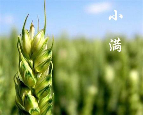 立夏之后的几个节气应怎么钓鱼_WWW.YUJUCEPING.COM