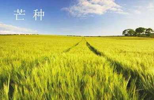 立夏之后的几个节气应怎么钓鱼_WWW.YUJUCEPING.COM