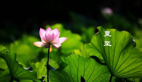 立夏之后的几个节气应怎么钓鱼_WWW.YUJUCEPING.COM