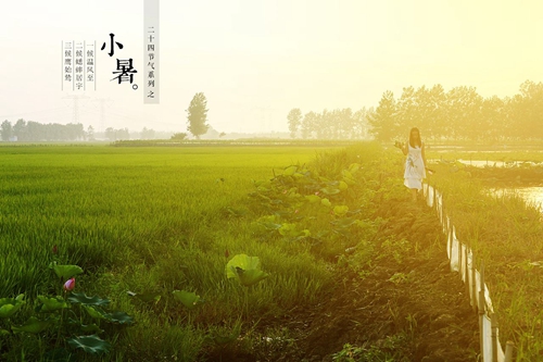 立夏之后的几个节气应怎么钓鱼_WWW.YUJUCEPING.COM