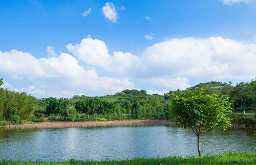 在密度低的鱼塘应该怎么钓鱼_WWW.YUJUCEPING.COM