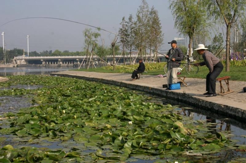 夏天钓鱼钓怎么钓草_WWW.YUJUCEPING.COM