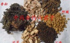 小药之王丁香油和丁香酒的自制过程