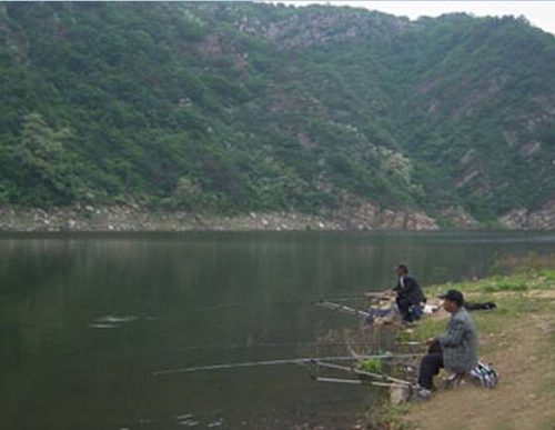 野钓鲤鱼怎么选择钓位_WWW.YUJUCEPING.COM