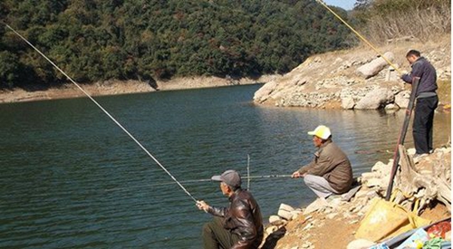 野钓鲤鱼怎么选择钓位_WWW.YUJUCEPING.COM