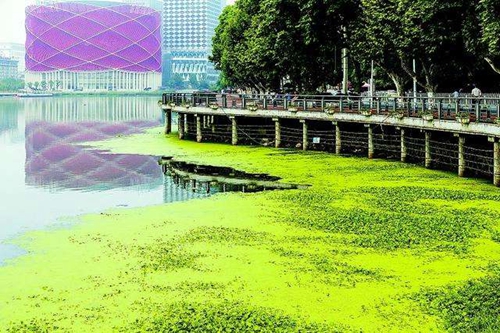 水质的清浊决定鱼的进食状态_WWW.YUJUCEPING.COM