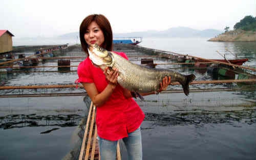 淡水域手竿钓翘嘴鱼技巧_WWW.YUJUCEPING.COM