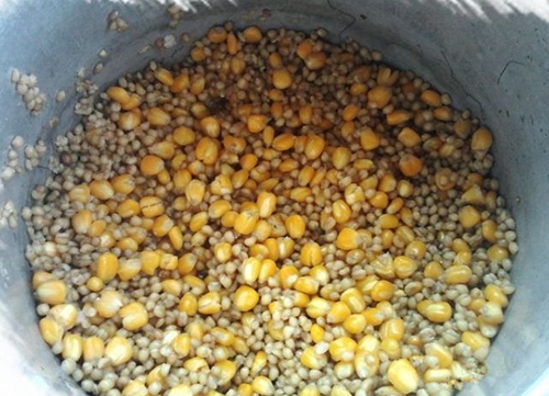 玉米粒钓鱼绝招 混合甜酒曲发酵诱饵窝料攻草鱼鲤鱼_WWW.YUJUCEPING.COM