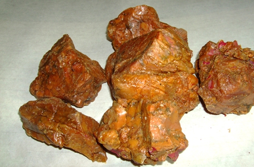 自制阿魏臭型钓鱼小药_WWW.YUJUCEPING.COM