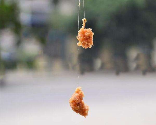 夏天钓鱼怎么开饵_WWW.YUJUCEPING.COM