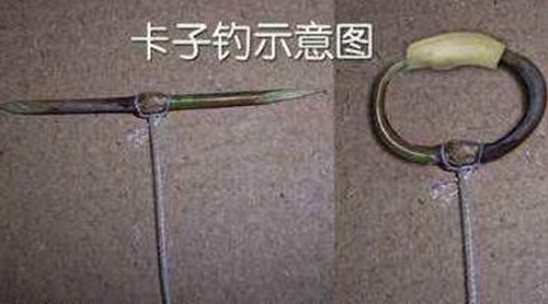 传统钓有哪些钓法钓技（下）_WWW.YUJUCEPING.COM