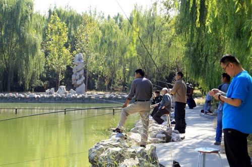 夏天钓鲫鱼不能守钓_WWW.YUJUCEPING.COM