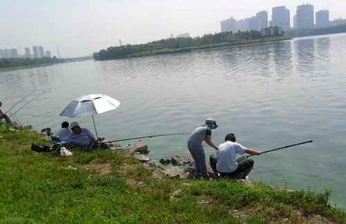 夏天高温鱼儿无口怎么办_WWW.YUJUCEPING.COM