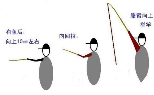水库抛竿钓鲤鱼的技巧_WWW.YUJUCEPING.COM