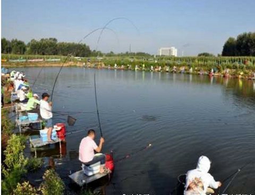 夏天鱼儿出现浮头怎么办_WWW.YUJUCEPING.COM