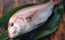 夏天钓鱼怎么保鲜