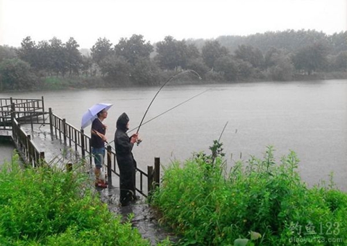 下雨前怎么钓鱼黄颡鱼技巧_WWW.YUJUCEPING.COM