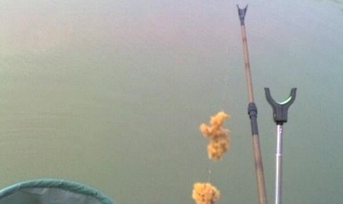 大体型的鱼应该怎么使用拉饵钓鱼_WWW.YUJUCEPING.COM