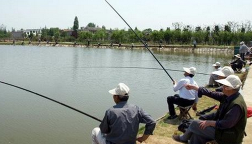夏天钓鲫鱼什么时候选择钓浮_WWW.YUJUCEPING.COM