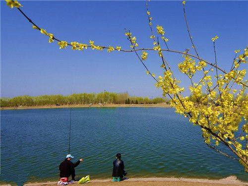 夏天钓鲫鱼什么时候选择钓浮_WWW.YUJUCEPING.COM