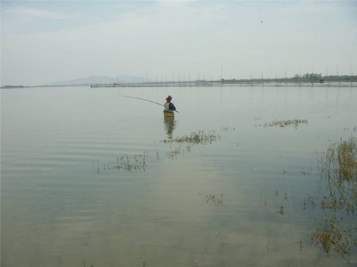夏天什么时候适合钓浅水_WWW.YUJUCEPING.COM