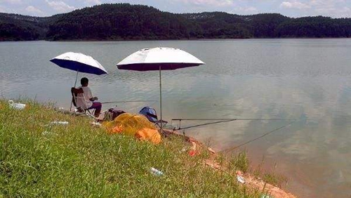 夏天雨后涨水可以钓鱼吗_WWW.YUJUCEPING.COM