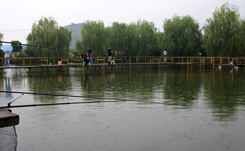 浮漂吃铅量应该怎么调整_WWW.YUJUCEPING.COM