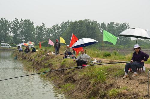 夏天钓鲫鱼怎么提高中鱼率_WWW.YUJUCEPING.COM