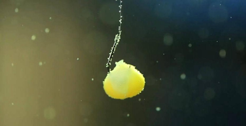在用饵过程中有哪些事情是千万不能做的_WWW.YUJUCEPING.COM