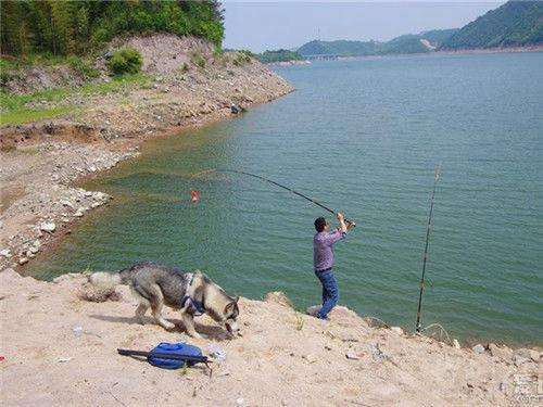 夏天什么情况不能钓鱼_WWW.YUJUCEPING.COM