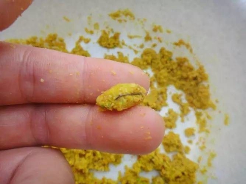针对不同情况应该怎么使用搓饵_WWW.YUJUCEPING.COM