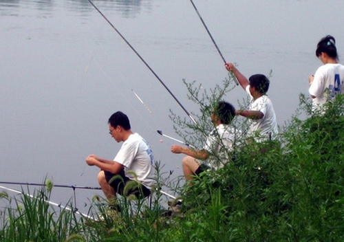 菜鸟用了变高手的野钓技巧_WWW.YUJUCEPING.COM