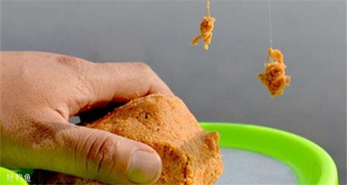 夏天钓鱼用饵有什么讲究_WWW.YUJUCEPING.COM