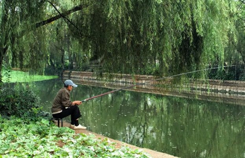 天热的鱼上浮应该怎么应对_WWW.YUJUCEPING.COM