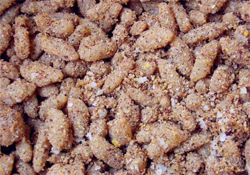 钓鲢鱼常见的几个错误_WWW.YUJUCEPING.COM