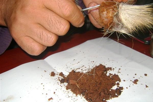 自制小药的配方_WWW.YUJUCEPING.COM