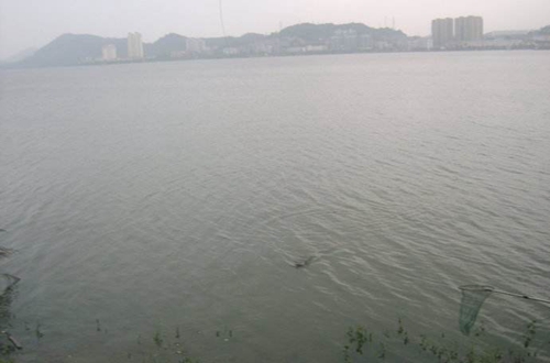 夏天雨后涨水应该怎么选钓位_WWW.YUJUCEPING.COM