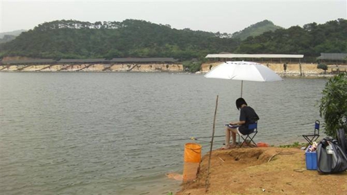 夏天野钓时的一些技巧_WWW.YUJUCEPING.COM